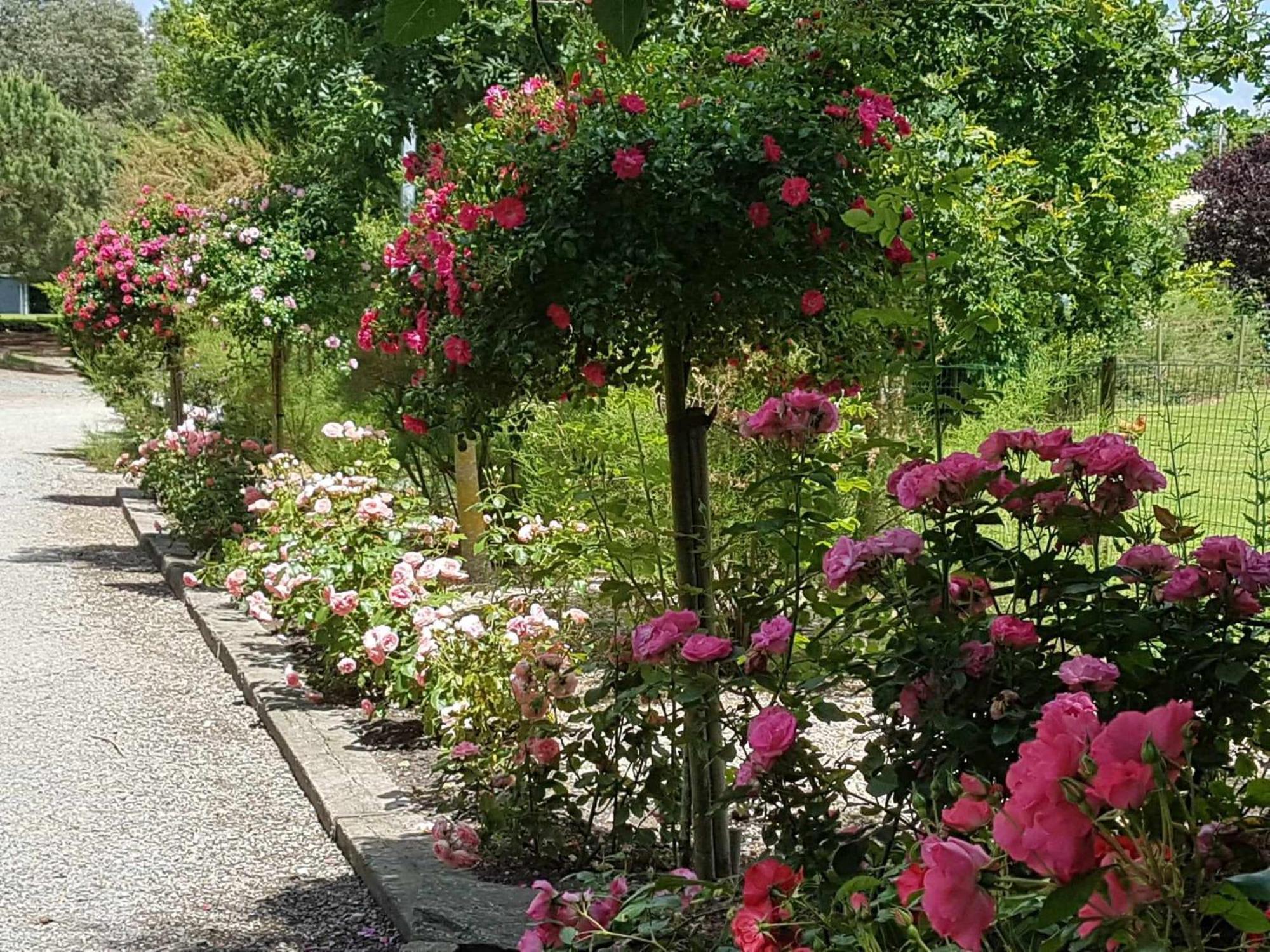 Domaine Les Rousselieres Villa Olonne-sur-Mer Dış mekan fotoğraf