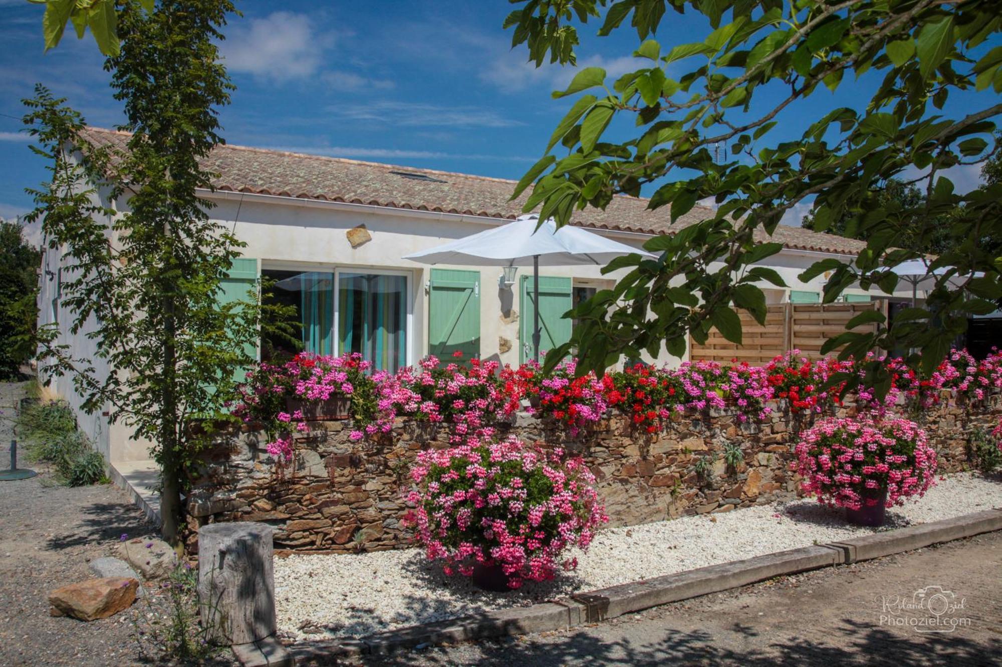 Domaine Les Rousselieres Villa Olonne-sur-Mer Dış mekan fotoğraf