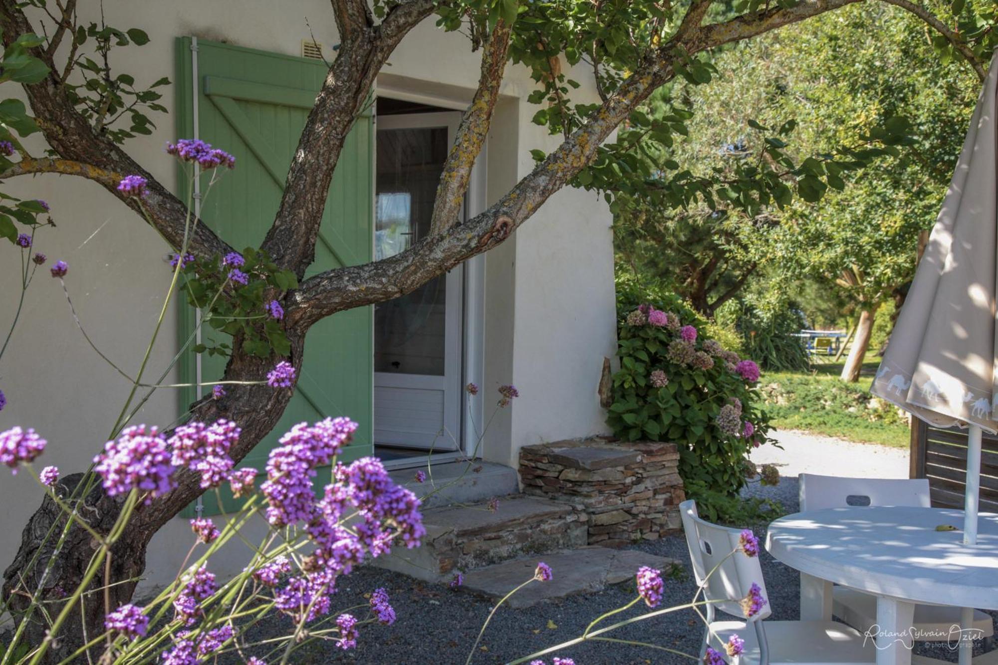 Domaine Les Rousselieres Villa Olonne-sur-Mer Dış mekan fotoğraf