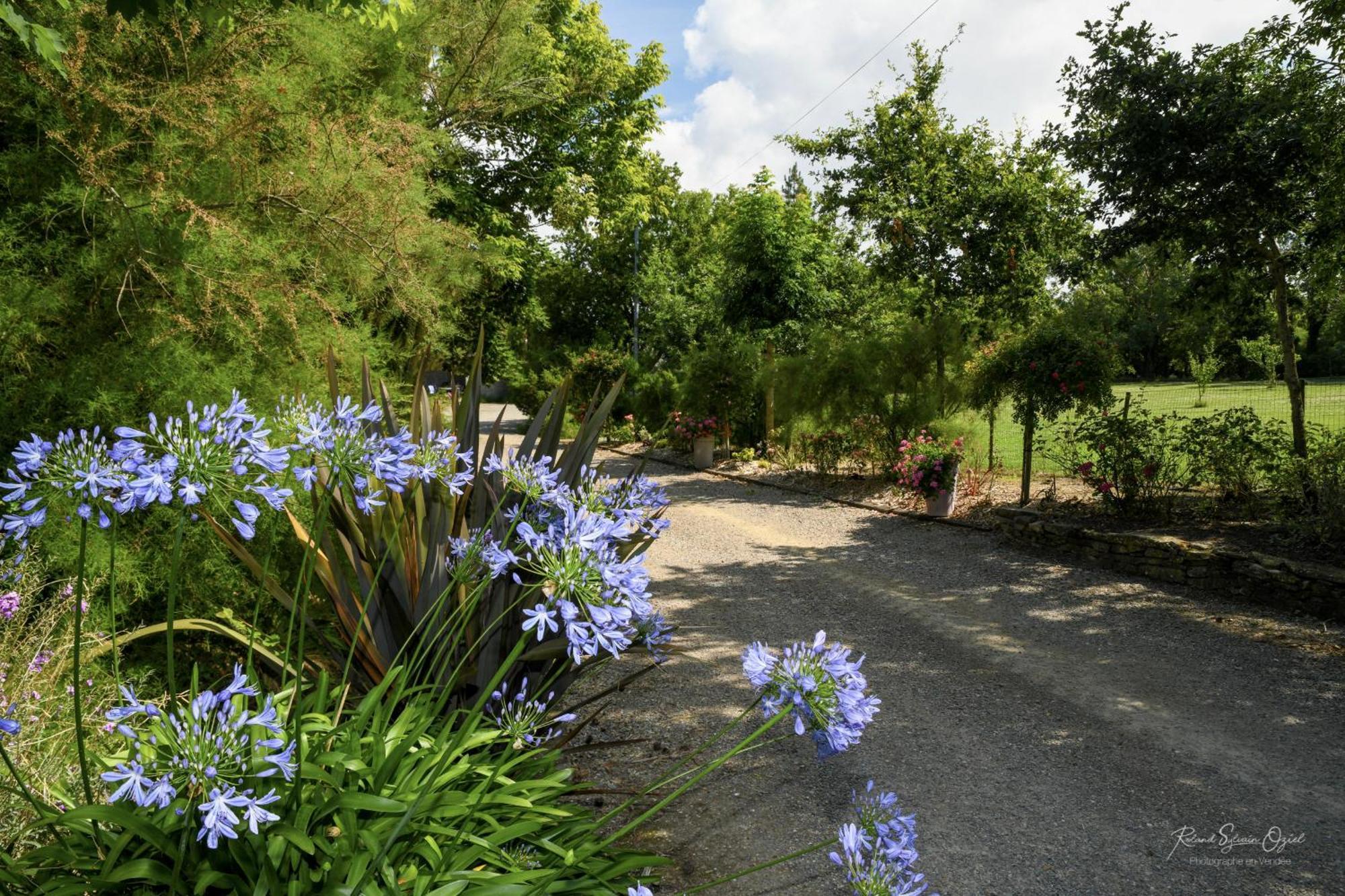 Domaine Les Rousselieres Villa Olonne-sur-Mer Dış mekan fotoğraf
